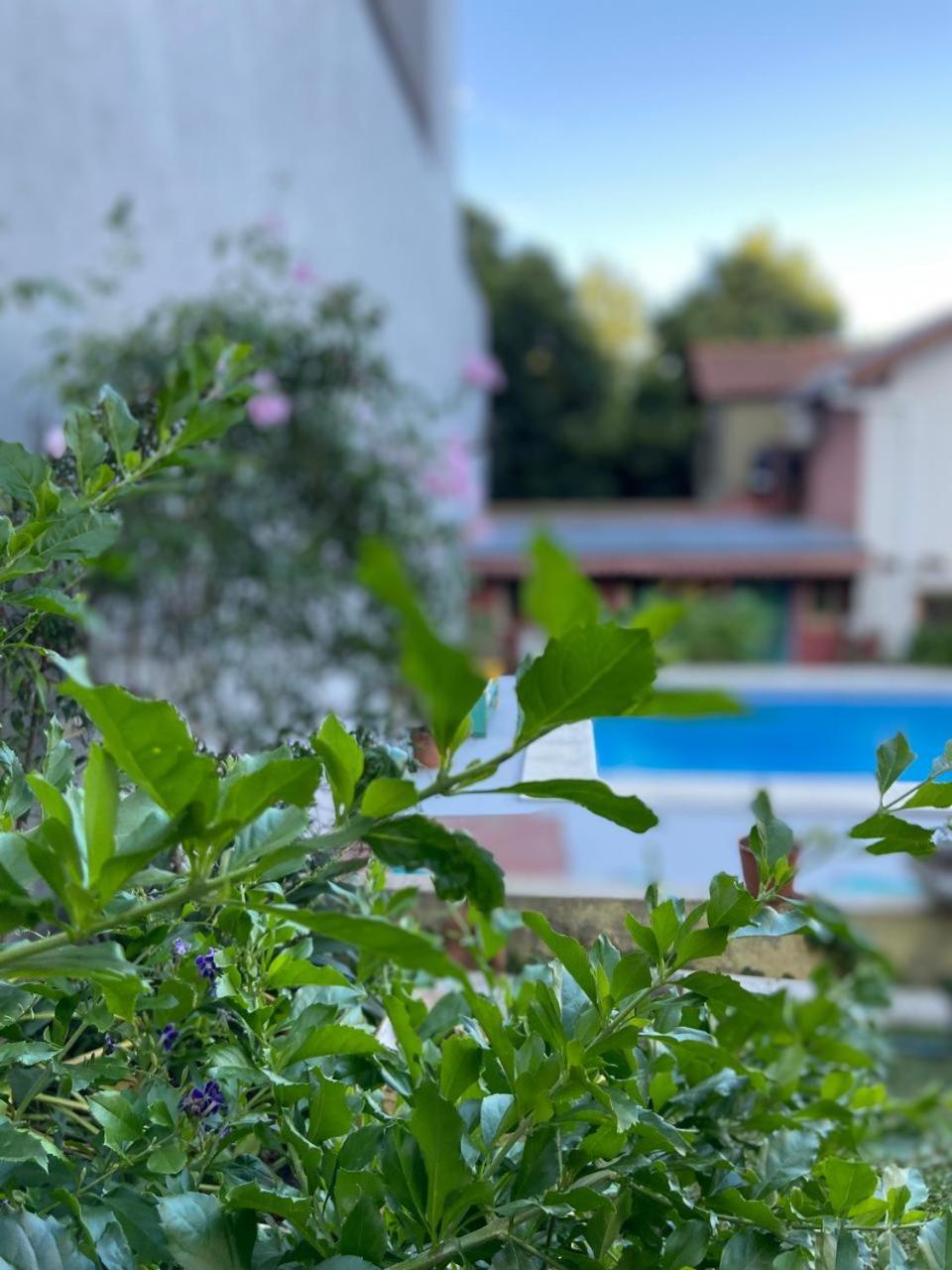 Casita De La Esperanza Apartment