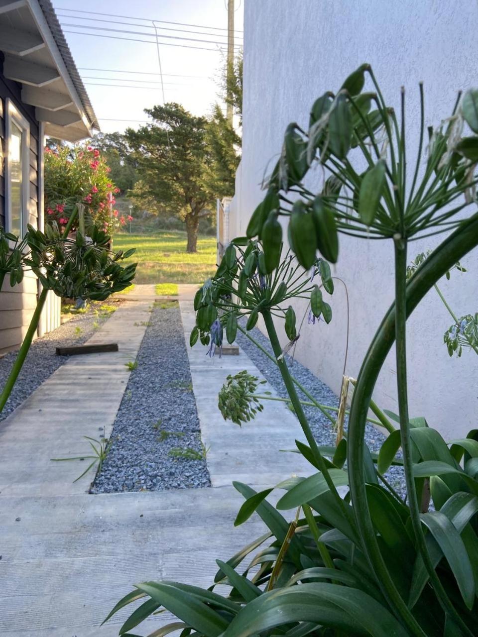 Apartamento Casita De La Esperanza *